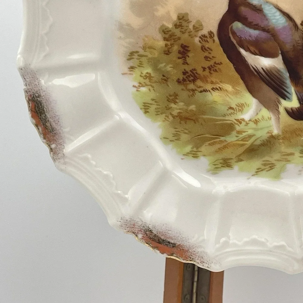 Antique 1920s Silesia‎ Germany Game Bird Scenic Porcelain Cabinet Plate 8
